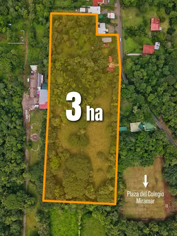 Lote de 3.1 ha en Miramar Montes de Oro con 66 m frente a calle – Uso Mixto