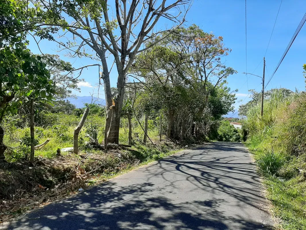 VENDO FINCA ALTA DENSIDAD EN BARVA DE HEREDIA.
