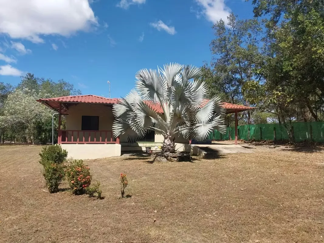 The fifth type house is rented with large land at 10 min.