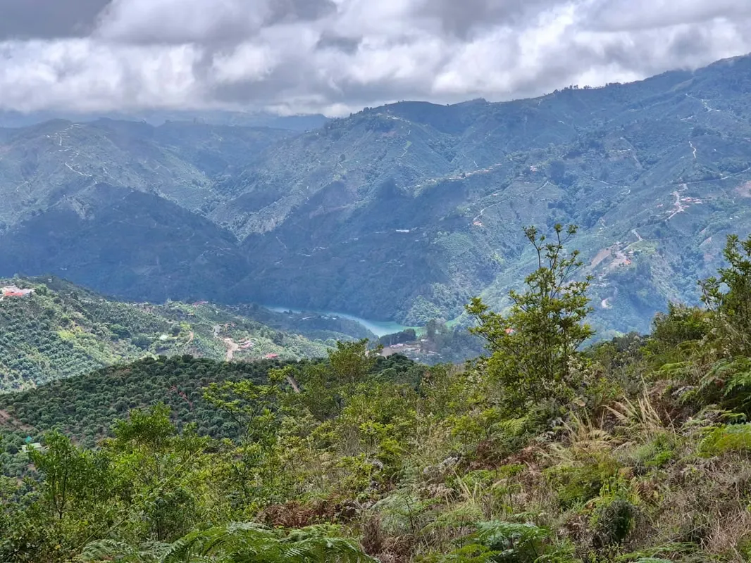 Two adjoining lots for sale located in Llano Bonito de León Cortés, in the renowned Zona ...