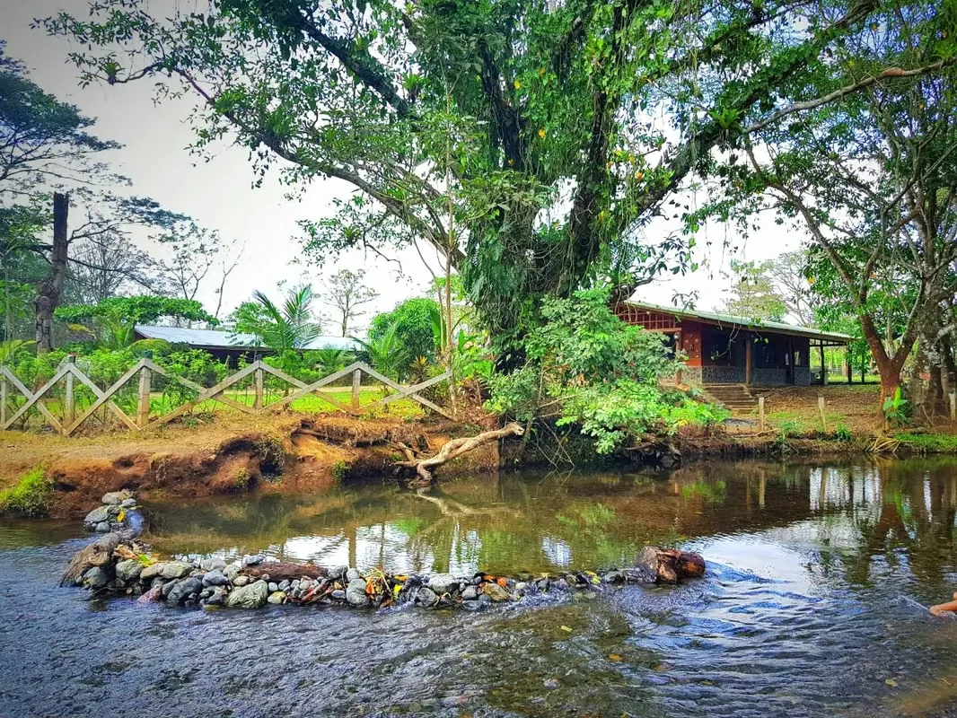 Hermosa propiedad ubicada en Lagunas de Turrubares, a tan solo 10 minutos del centro de Orotina, en una zona tranquila, rodeada de naturaleza ...