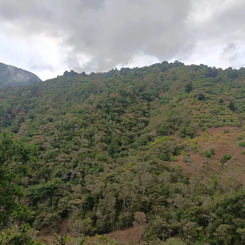 House for Sale – Fresh Mountain Climate and 1,446 m² Property