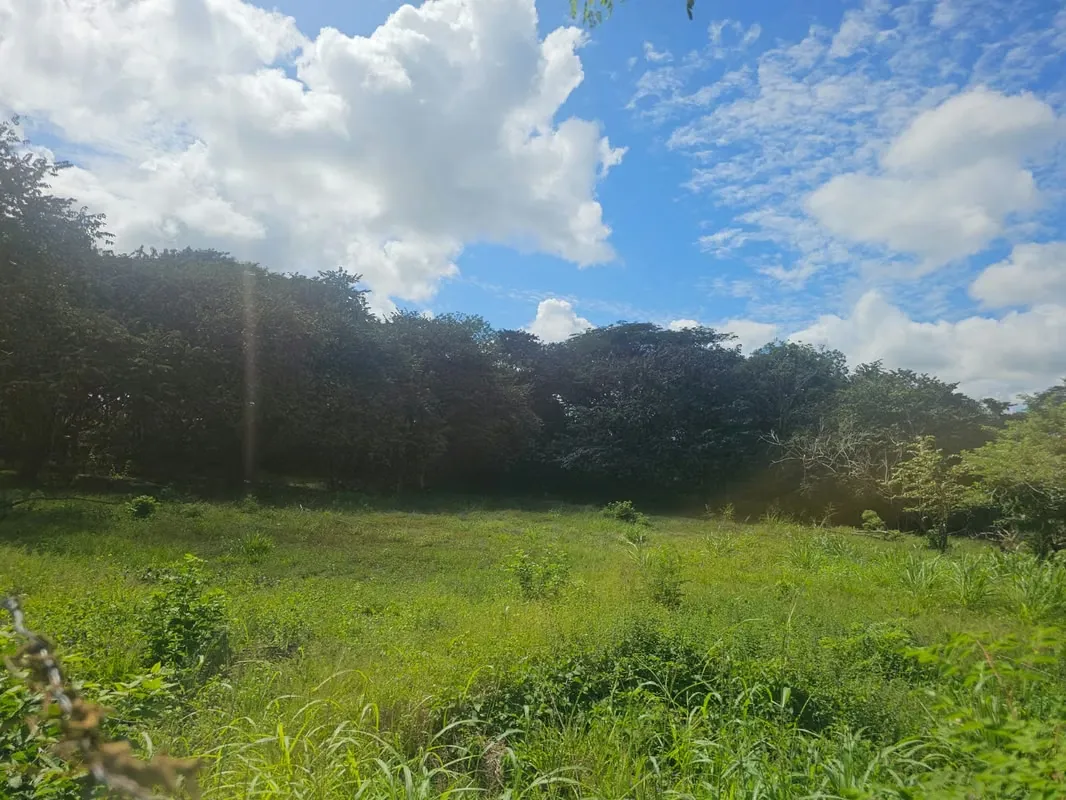 Lot for Sale in La Cruz, Liberia