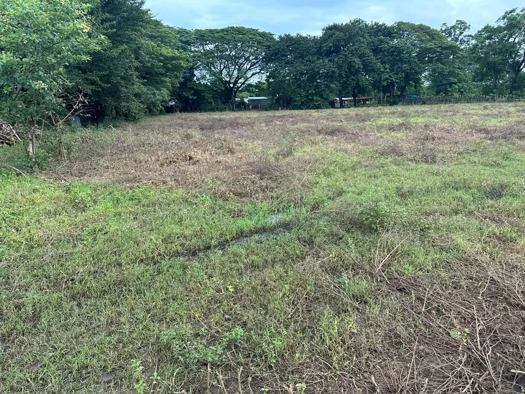 Development Opportunity Farm for Sale in Carrillo, Guanacaste ID5962