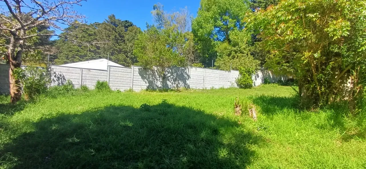 Hermoso lote con abundante bosque y árboles naturales, ideal para quienes buscan tranquilidad, contacto con la ...