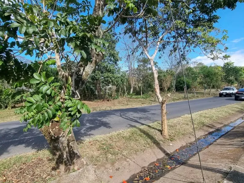 Land for Sale in Heredia, San Lorenzo 12352