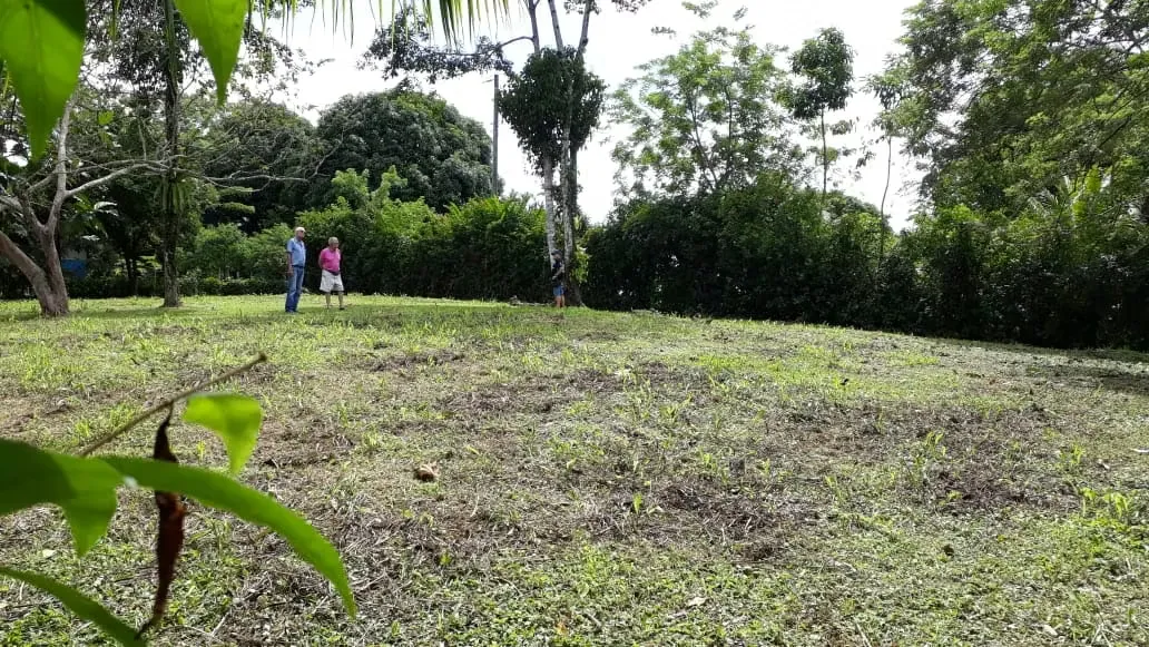 Venta terreno La Tigra San Ramón, Alajuela-A 15 minutos de la Fortuna