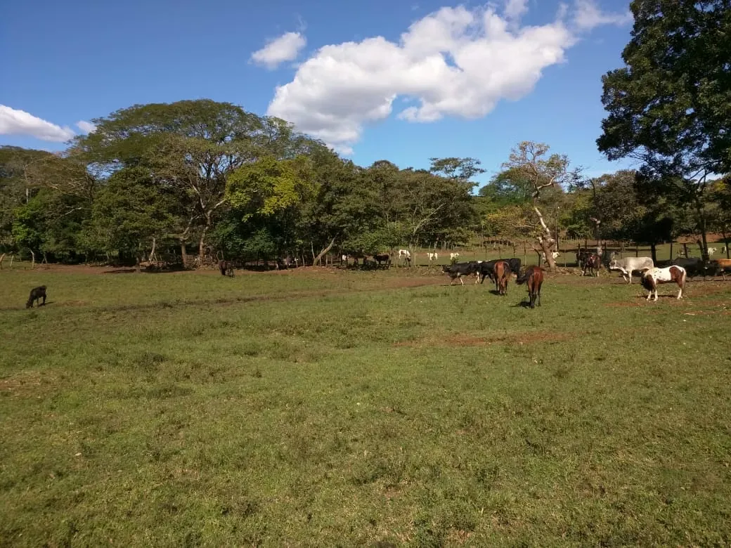 Lot for sale at the Coyol- Fully industrial