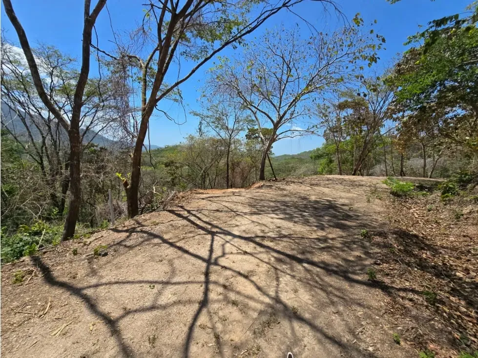 Venta de Quinta con Bosque Primario No 115