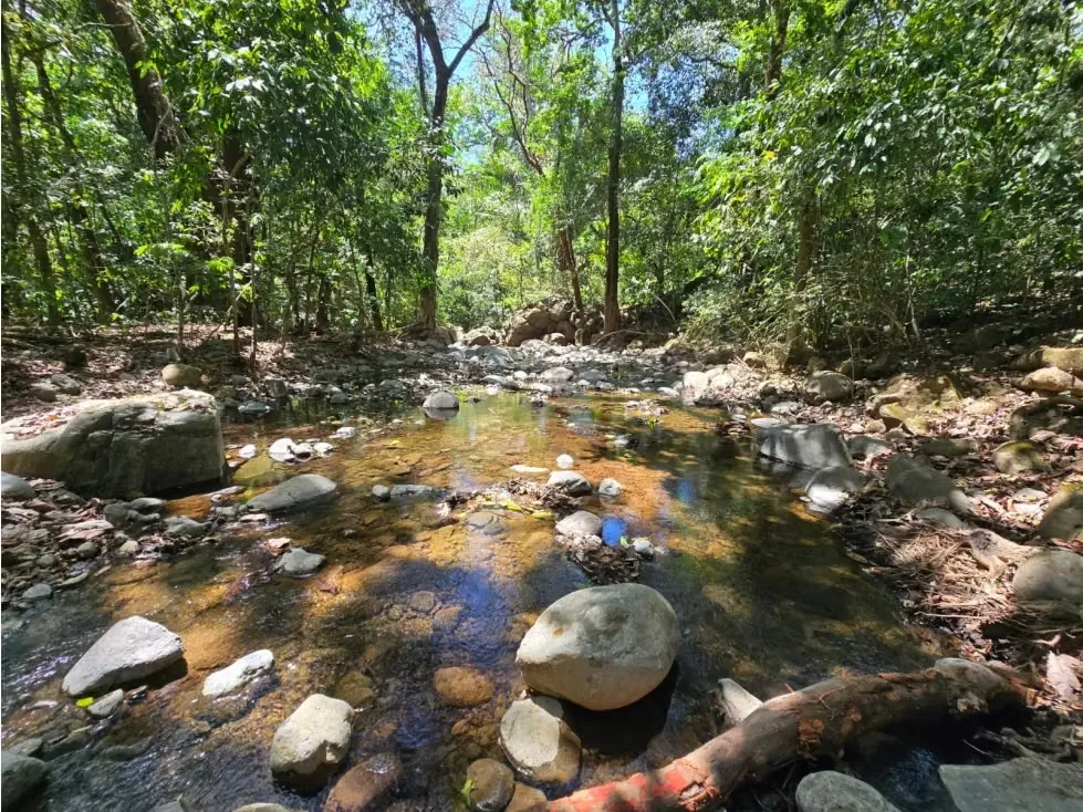 Venta de Quinta con Rio al fondo  y Bosque Primario No 58