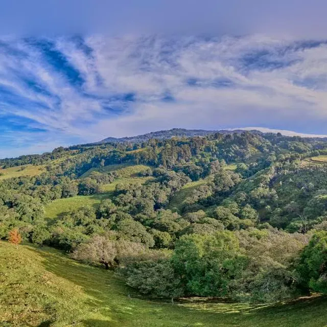 Quinta en Paso Llano en San José de la Montaña-Barva. JRC1050