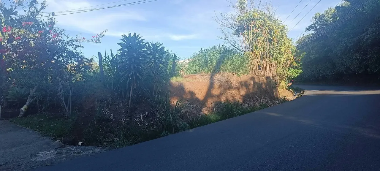 VENDO LINDO LOTE EN BARVA
