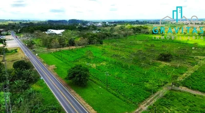 Land for sale in Cerro Cortez San Carlos (20,000m2) ID 1515