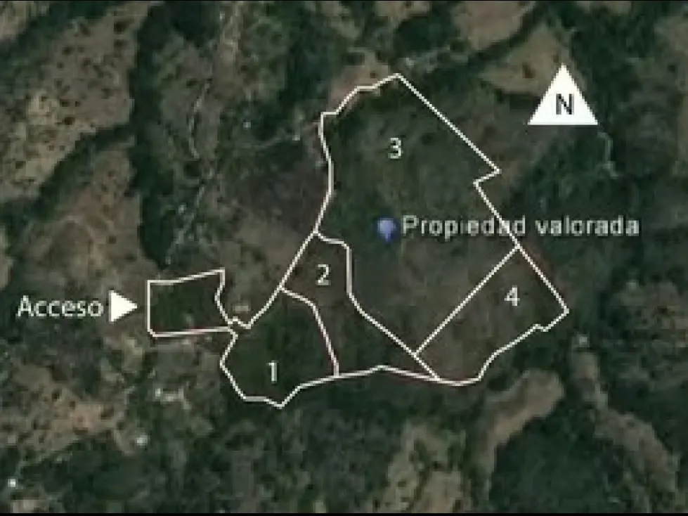 40-Hectare Land for Sale in Santiago, Puriscal