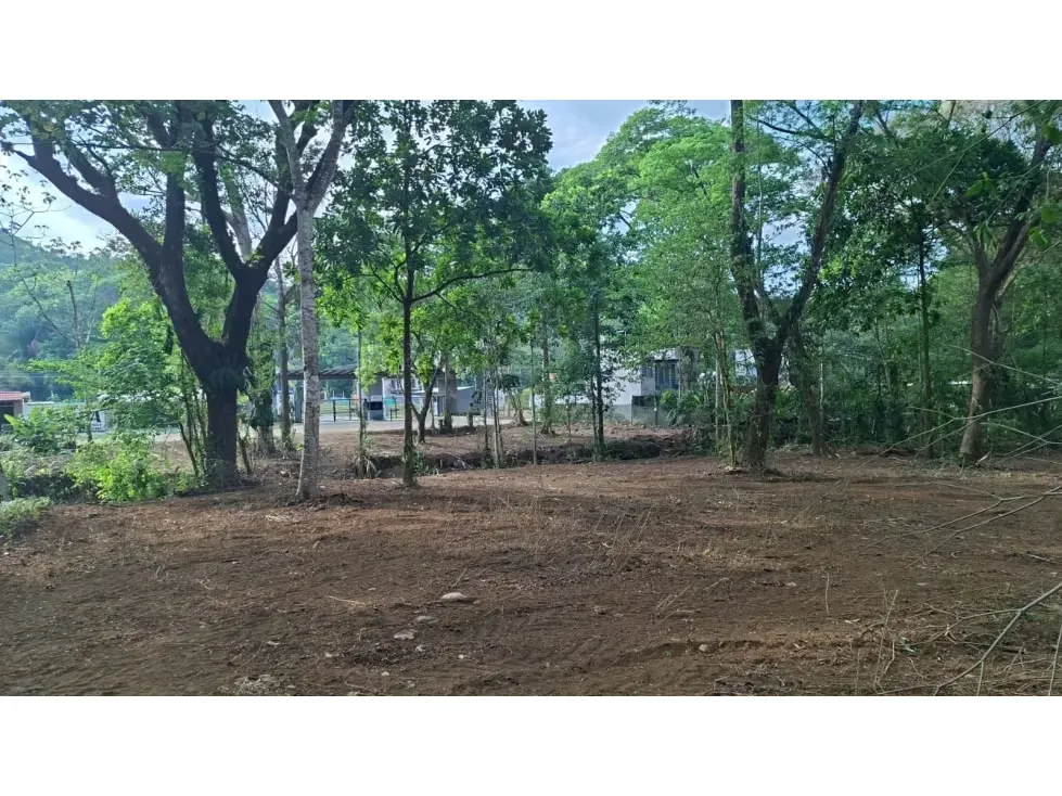 VENTA DE TERRENO MIXTO, TARCOLES, CALLE VIEJA A PUNTA LEONA 4172 (GC)