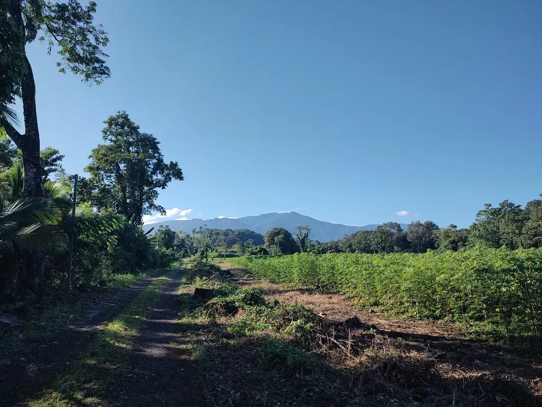 Finca Agrícola sobre Ruta 32