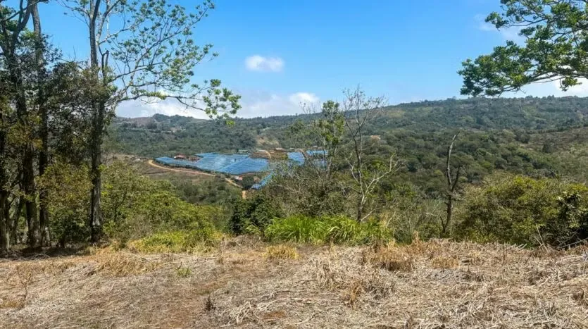 Si usted está buscando escapar del ruido de la ciudad y construir en un entorno natural, este lote en San Juan de Naranjo es una oportunidad que no puede dejar pasar. ...