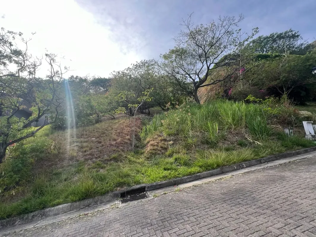 Lote en venta en Residencial Villa Real, Santa Ana – Naturaleza y Vistas Espectaculares