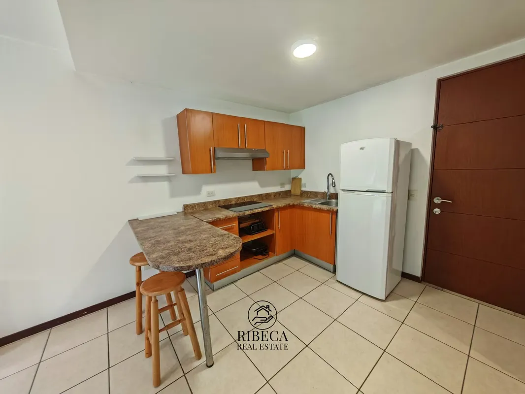 Live or invest in one of the highest-demand areas in Costa Rica. This fully furnished ground-floor apartment in Condominio Solaris, San Pedro, offers a strategic ...