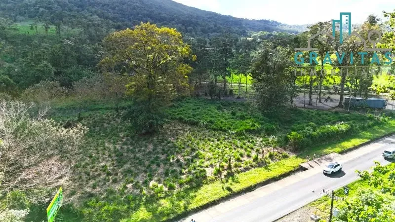 Land for sale in Fortuna with hot spring water (10,000 m2) ID 1745