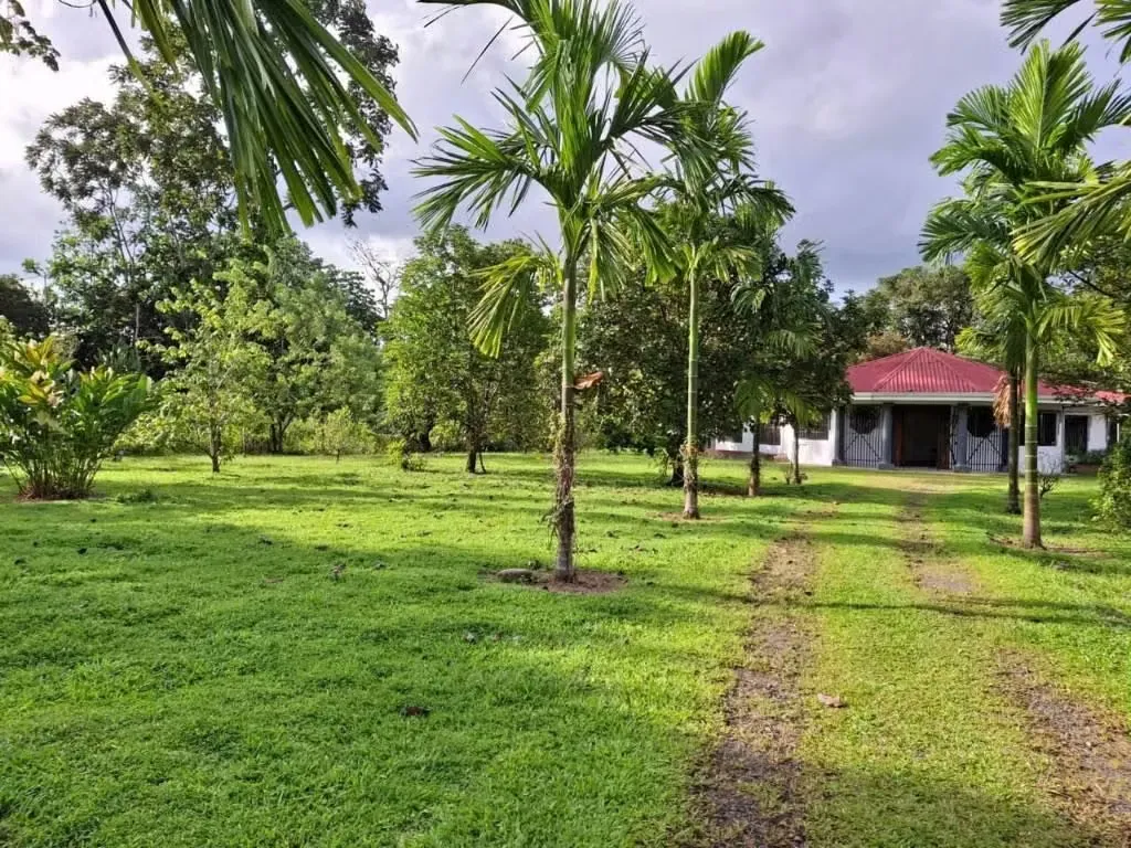 Casa grande en Alquiler y Venta, con amplias áreas verdes! Guápiles, Limón