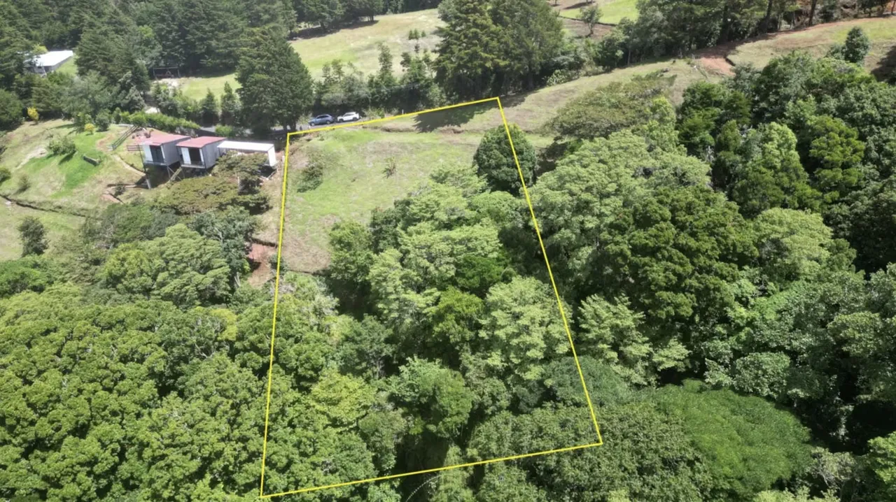 Oportunidad única terreno en las exuberantes tierras altas de Poás, Alajuela