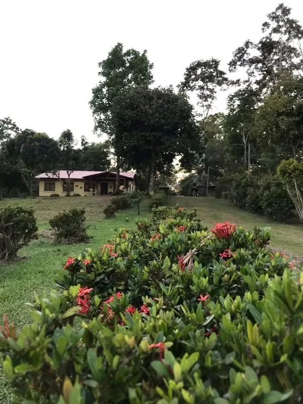 Se vende hermosa finca de 7 hectáreas, ideal para desarrollo agrícola, ganadero o proyecto turístico. Ubicada en una zona tranquila y de gran belleza natural, esta ...