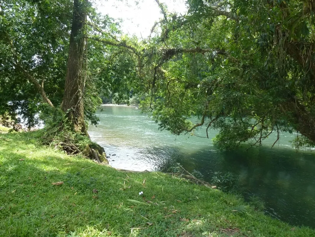 Venta de Finca en La Guaria de Puerto Viejo de Sarapiquí, Heredia