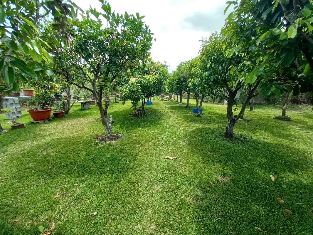 02 / Venta / lote de 3000 mts con casa grande / Uso suelo 8 casas / San Rafael alto de las palomas