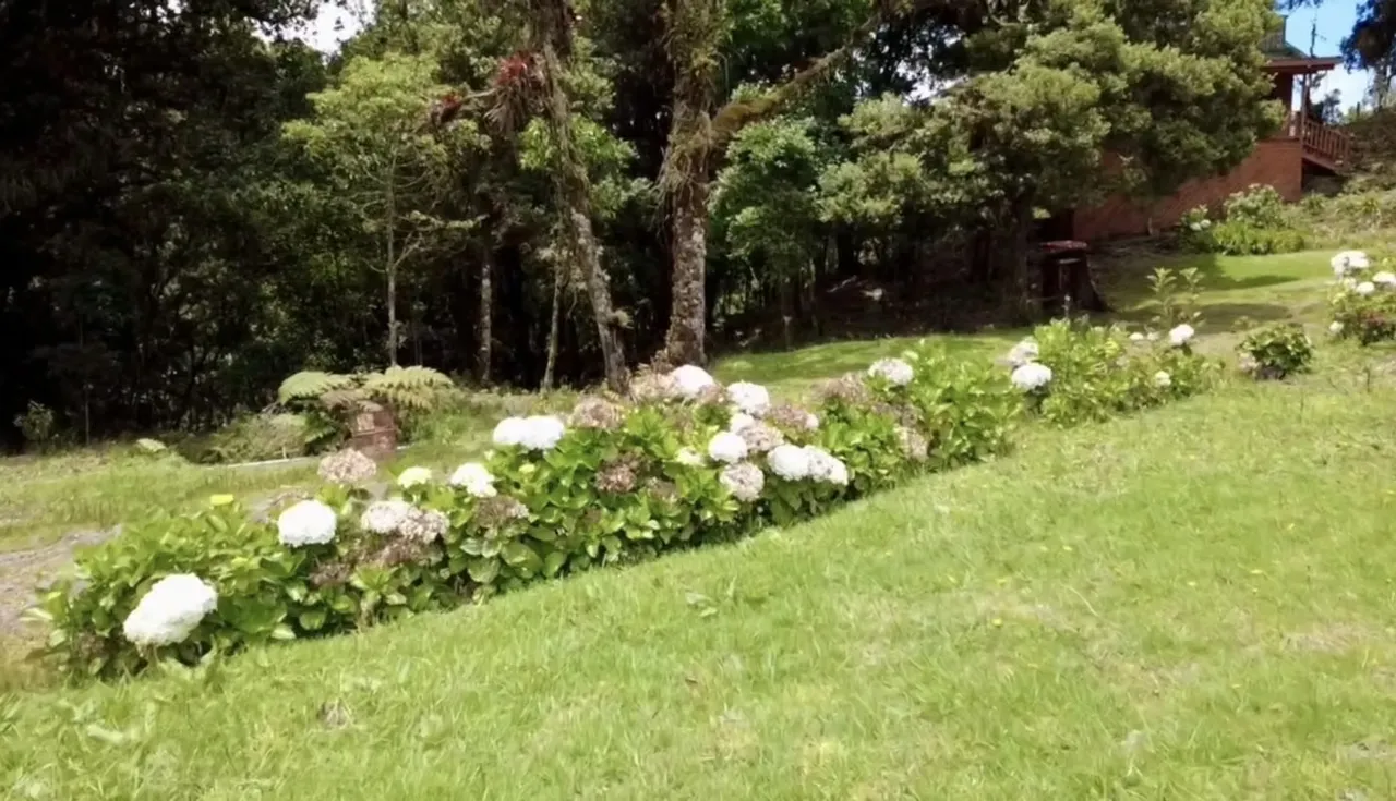 Se Vende Propiedad de montaña y cabaña Cartago Damitas JLBR