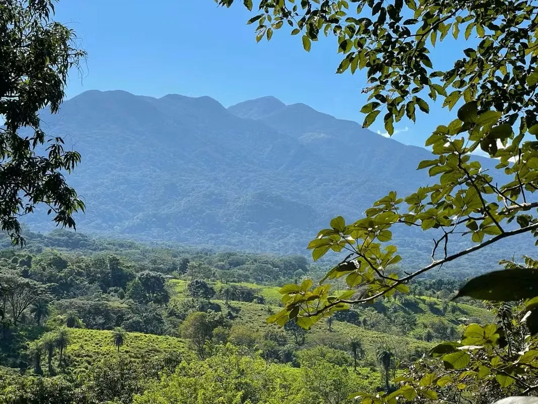 Aproveche una oportunidad de oro en Turrubares. Esta impresionante propiedad de 57,835 m² combina la serenidad de un entorno ...