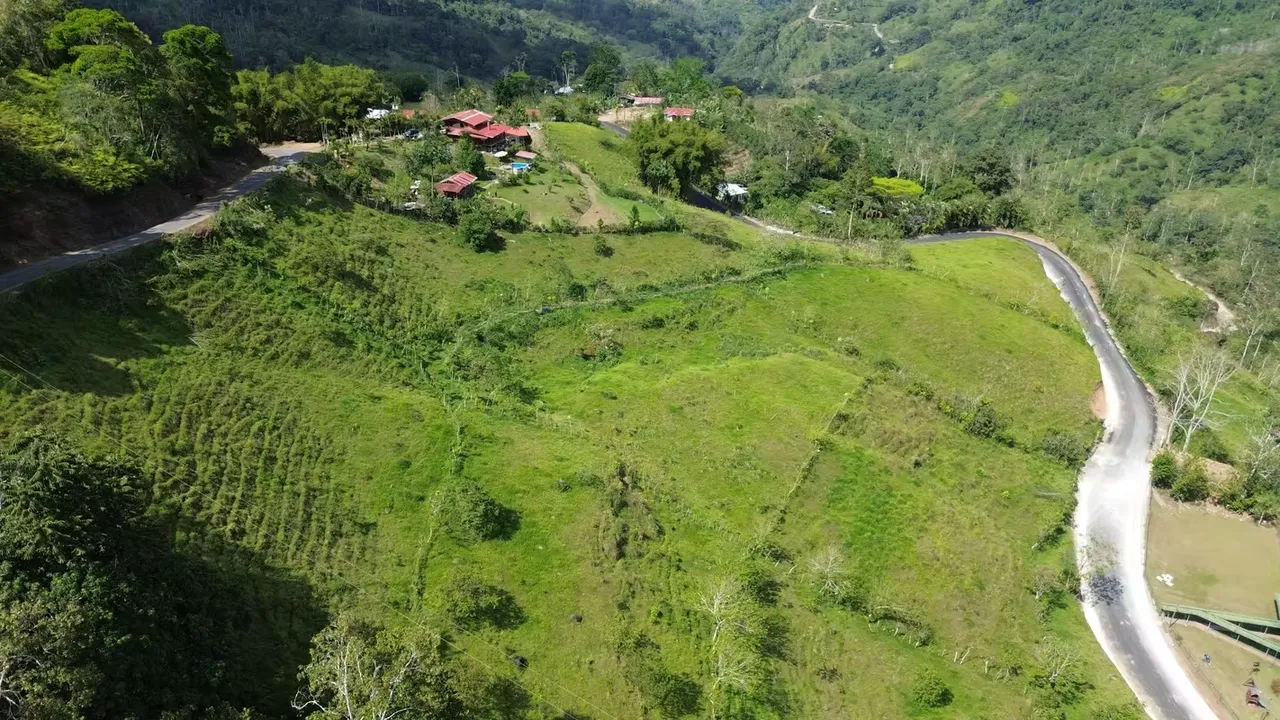 Farm for sale in San Bosco Tuis, Turrialba.