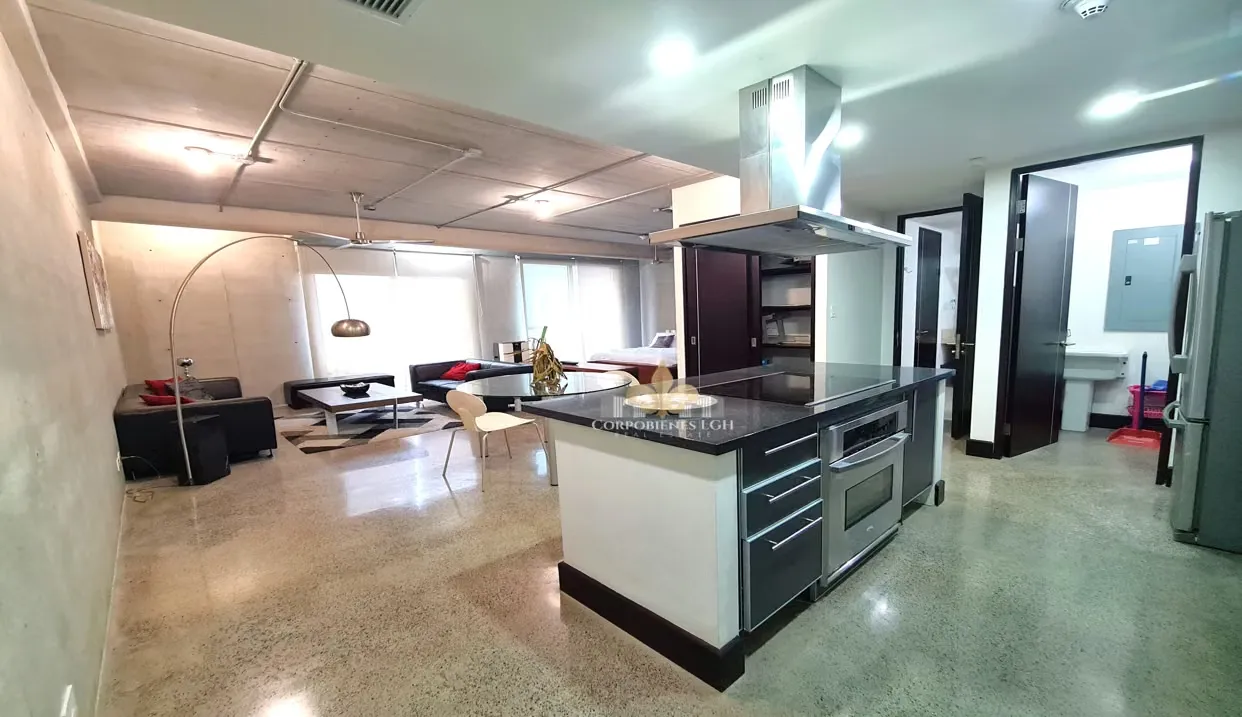 Alquiler de Apartamento tipo Loft, totalmente amueblado en Av. Escazu.