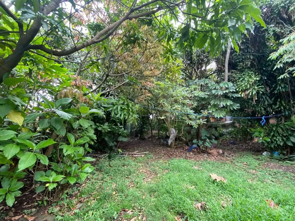 Propiedad Comercial en San Juan de Tibás, San José