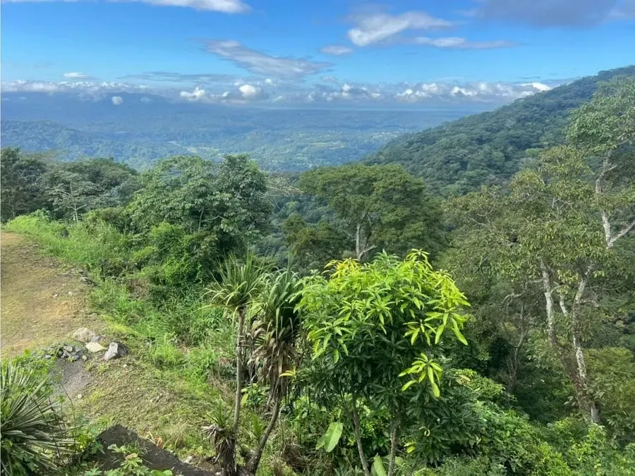 Two Premium Lots for Sale in Vista del Mar, Orotina - 5,800 m² of Development Opportunity