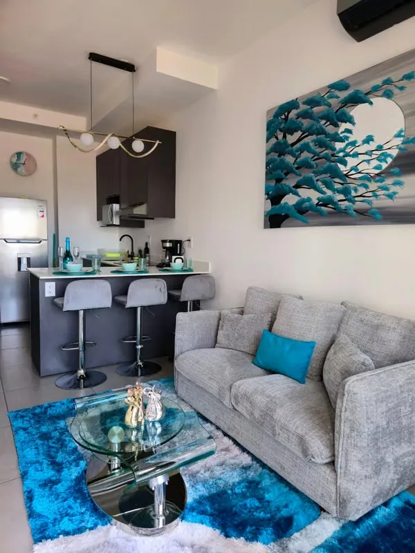 Furnished Apt for Sale - Barrio Escalante, San Jose