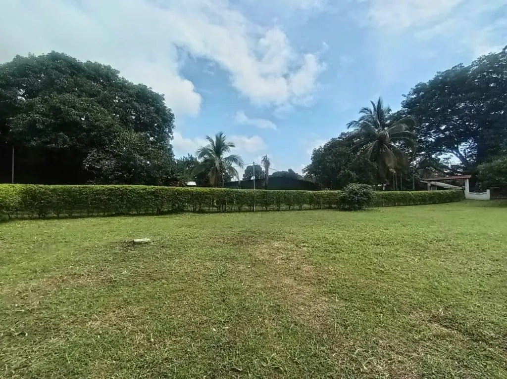 LOT FOR SALE IN OROTINA DOWNTOWN
