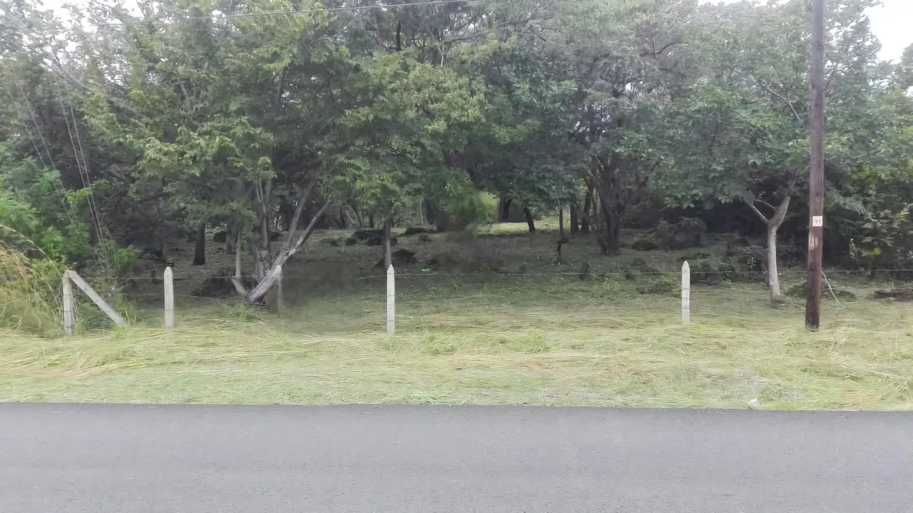 MA Asesorías vende hermoso y amplio lote en la carretera a Guayabo de Bagaces