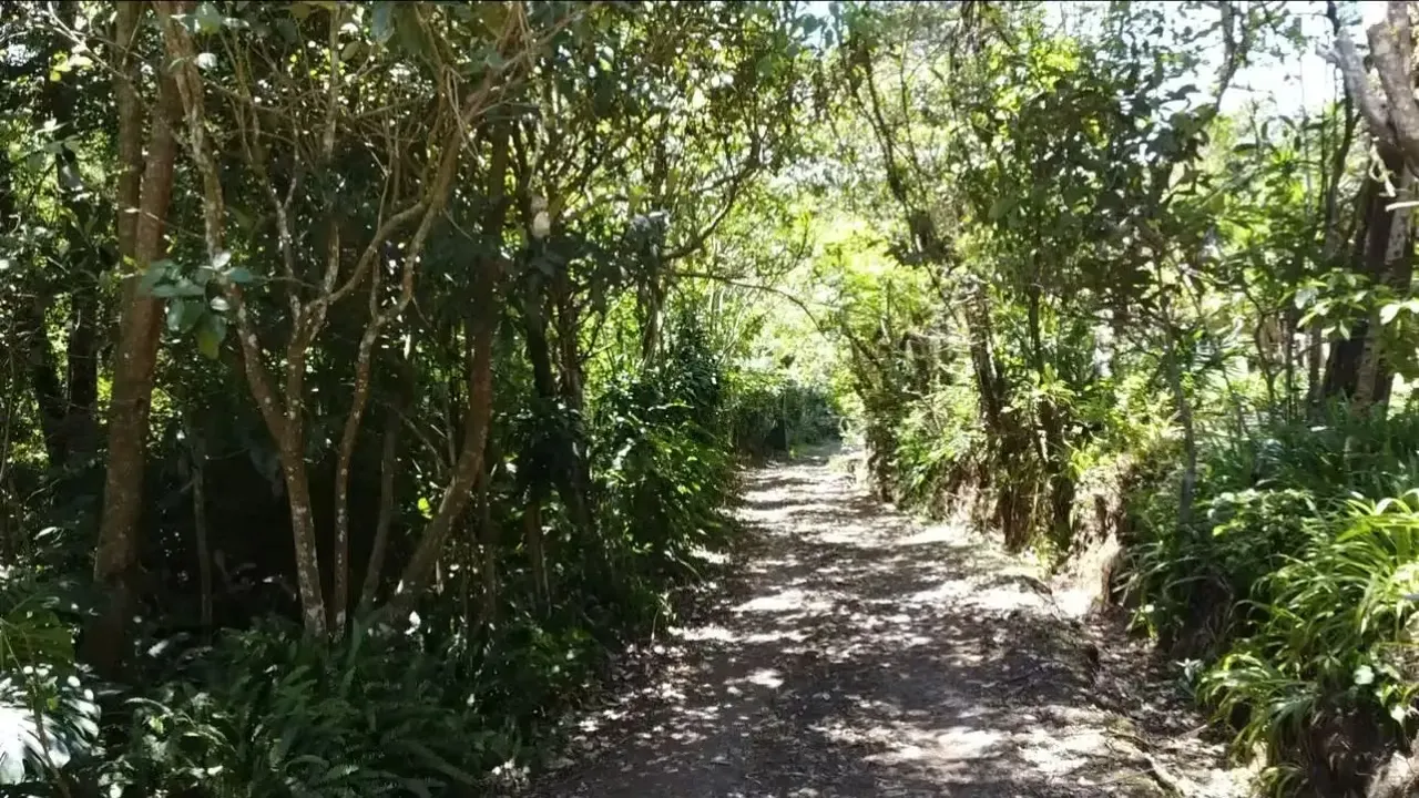 Terreno único rodeado de naturaleza en San Rafael de Heredia
