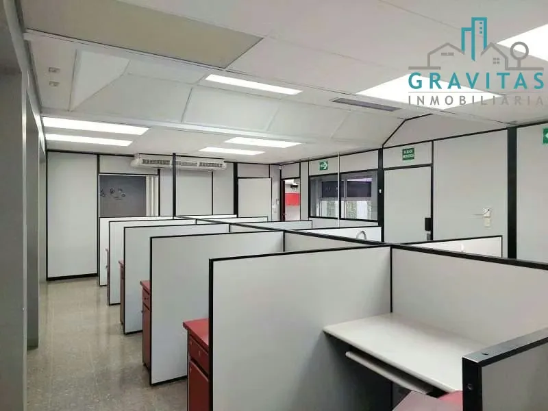 Office rental Ciudad Quesada, 200m2 ID 1970