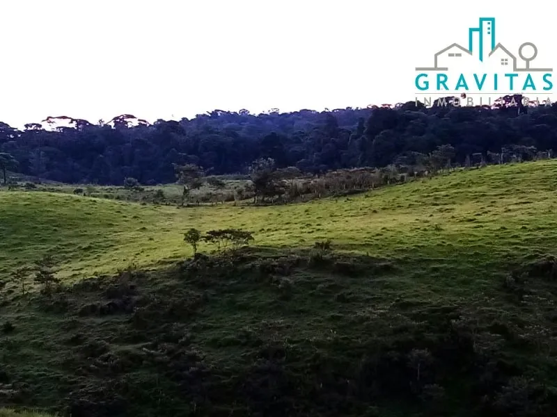 Farm for sale in Sarapiquí, 700 Hectáreas ID 1398