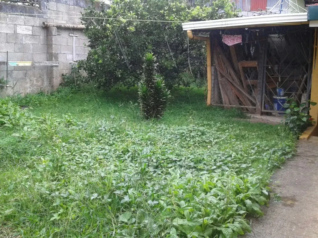 Se vende propiedad de 500 m² de lote, ubicada en calle Girales, San Diego de Tres Ríos.