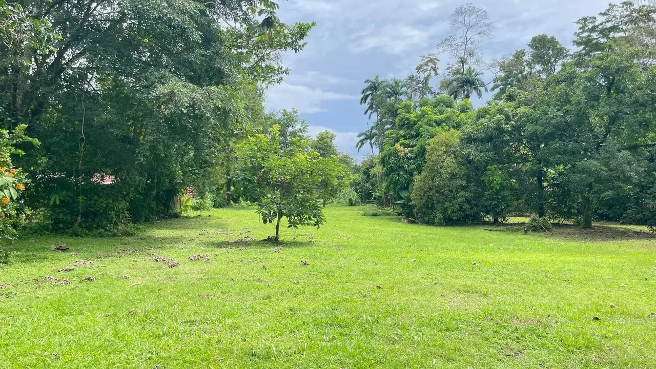 Lot for Sale in Guápiles, Limón.