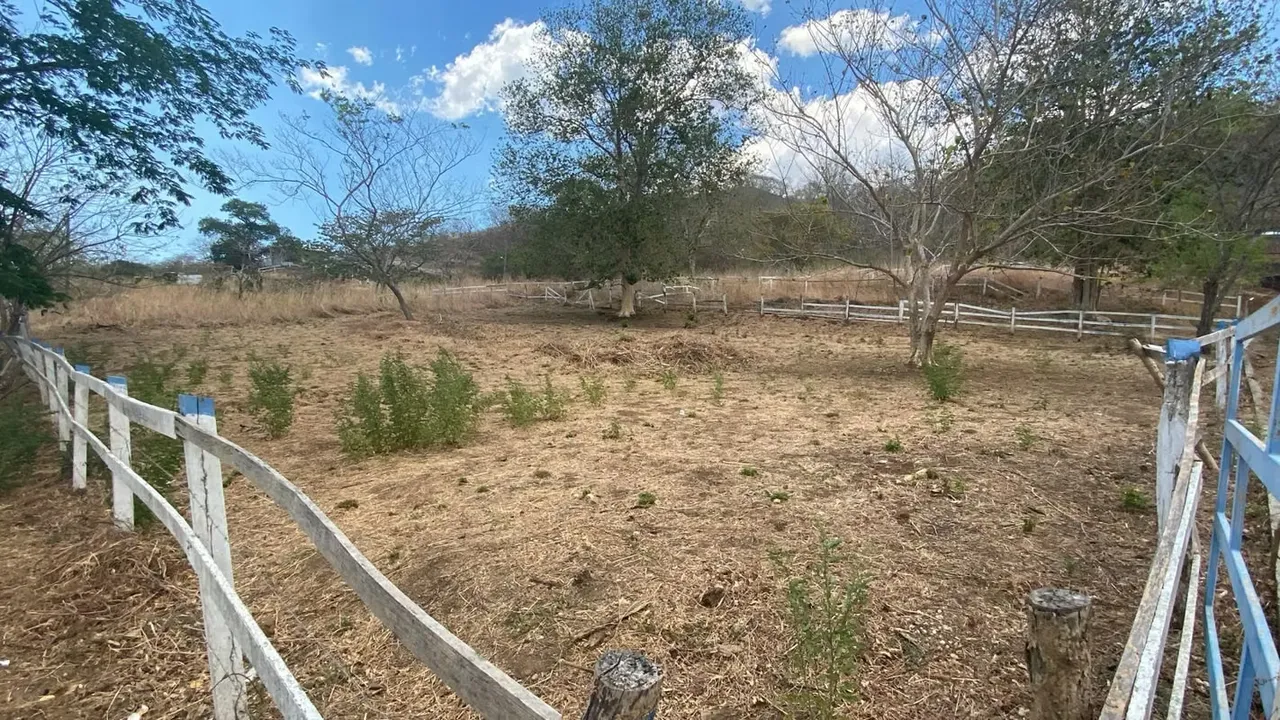 Lotes de 300 m² en Santa Rosa – Excelente ubicación cerca de Tamarindo