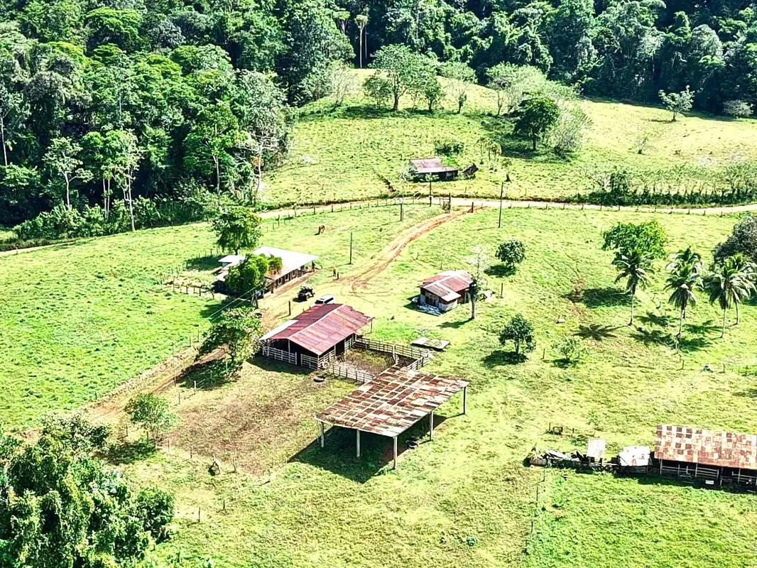 Sale of Finca San Carlos Betania de Cutris 125 hectats