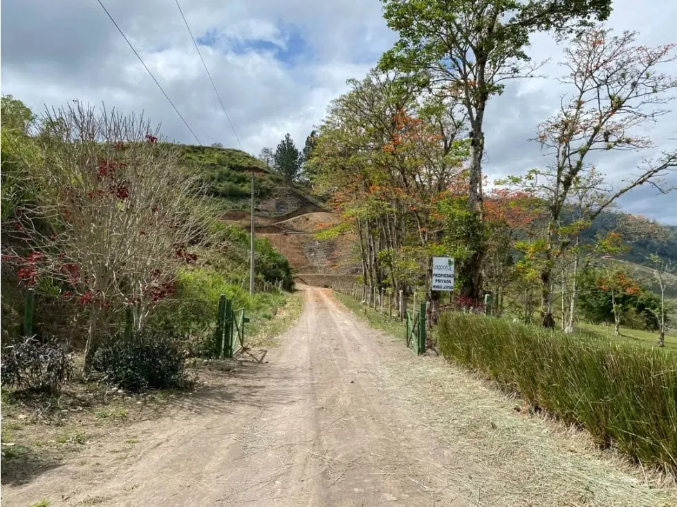 Lago Alto Estates: Análisis Integral del Proyecto Inmobiliario