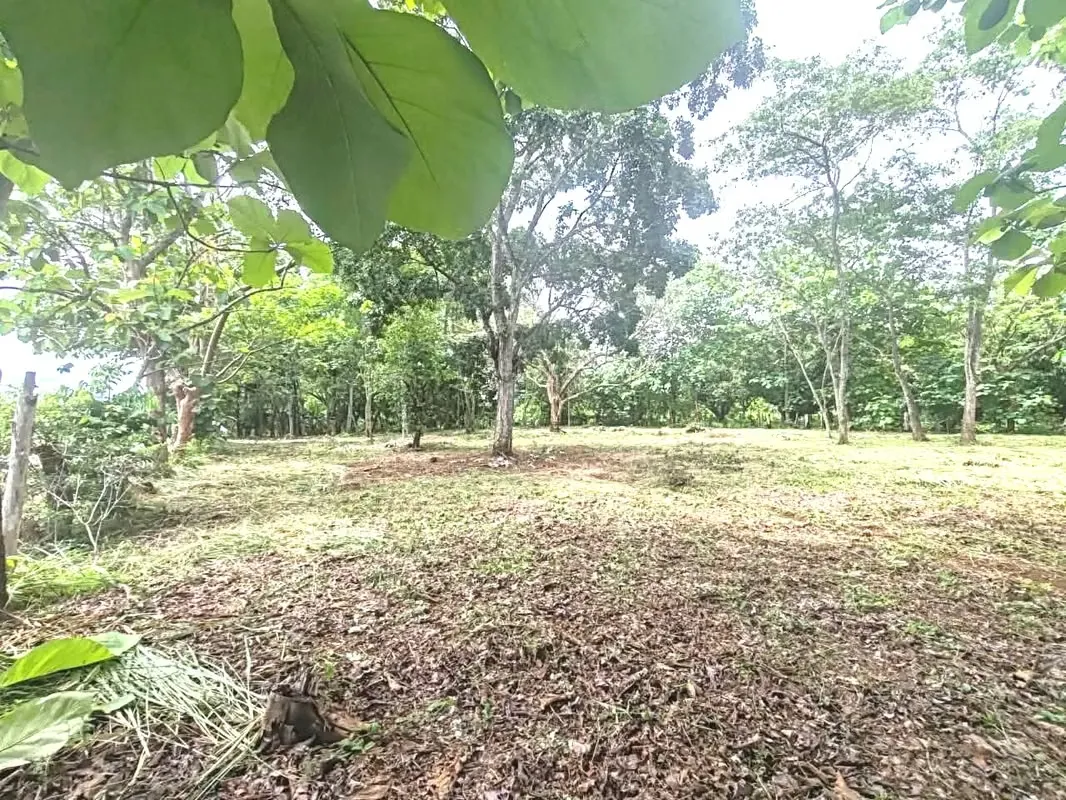 Venta lote San Mateo Jesús María   UNA GANGA