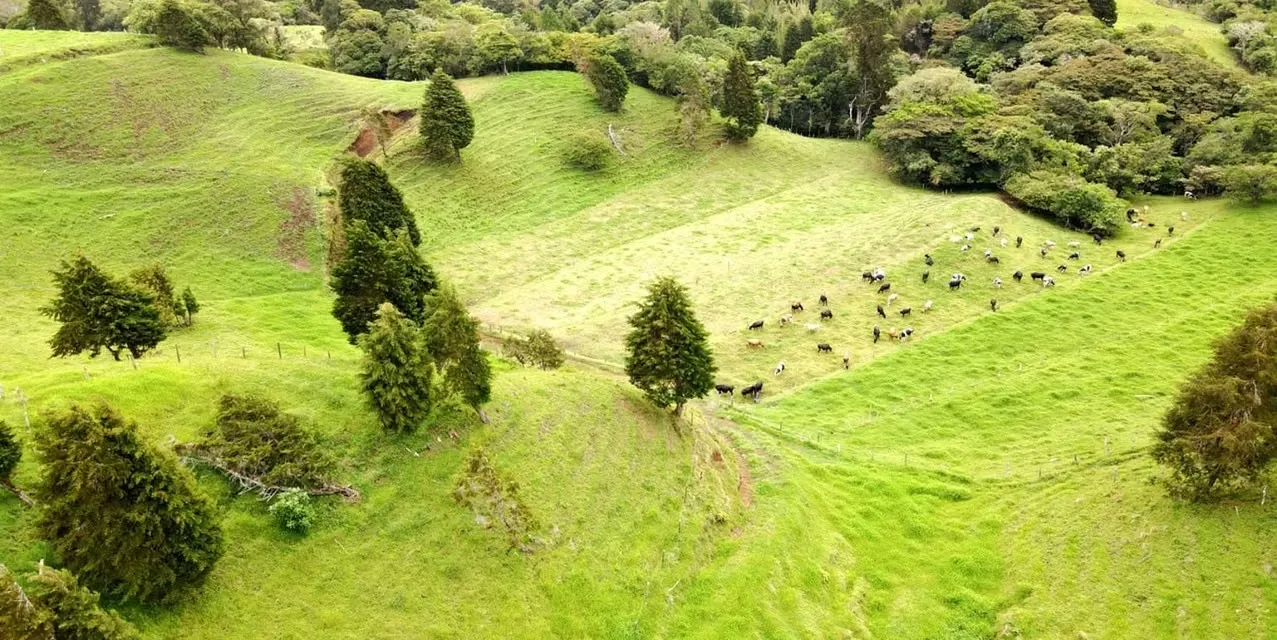 Finca Lechera San Jero en Moravia