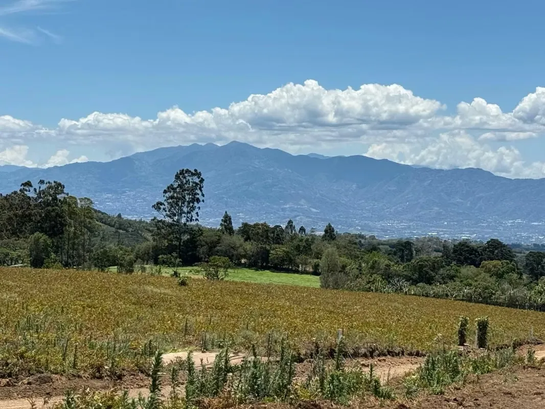 LOTES EN VENTA CON VISTAS PANORAMICAS  -  SABANA REDONDA DE POAS