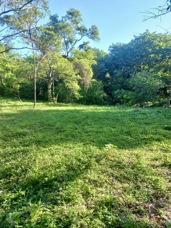 5,004 m² Lots for Sale in Turrubares (San Francisco de San Luis)HIGH-GROWTH AREA & PROMISE FOR ECO-TOURISM! Discover these